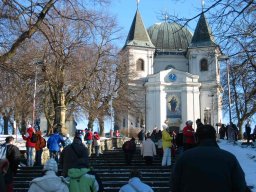 silvestr 2008